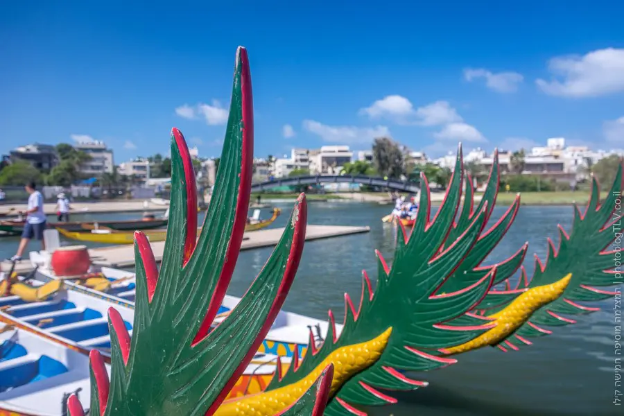 פסטיבל דרקון בירקון | בלוג הצילום של עופר קידר