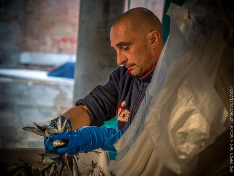 שוק הדגים - ונציה למטייל, איטליה | בלוג הצילום של עופר קידר שוק הדגים - ונציה למטייל, איטליה | בלוג הצילום של עופר קידר