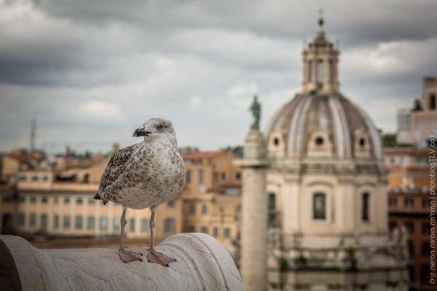 רומא, איטליה | בלוג הצילום של עופר קידר