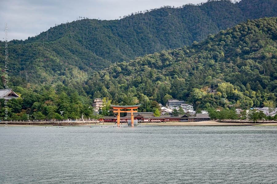 הירושימה, יפן | מיאג'ימה (Miyajima) | המצלמה מוסיפה חמישה קילו | בלוג הצילום של עופר קידר