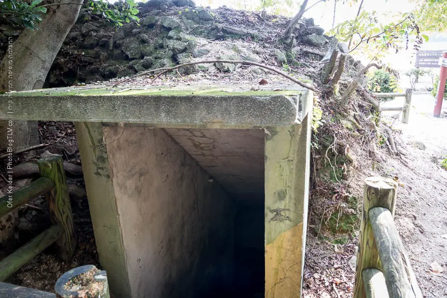 אי הארנבים אוקונושימה, יפן | Ōkunoshima rabbit island, japan | המצלמה מוסיפה חמישה קילו | בלוג הצילום של עפר קידר אי הארנבים אוקונושימה, יפן | Ōkunoshima rabbit island, japan | המצלמה מוסיפה חמישה קילו | בלוג הצילום של עפר קידר