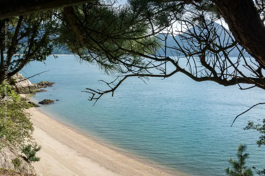 אי הארנבים אוקונושימה, יפן | Ōkunoshima rabbit island, japan | המצלמה מוסיפה חמישה קילו | בלוג הצילום של עפר קידר אי הארנבים אוקונושימה, יפן | Ōkunoshima rabbit island, japan | המצלמה מוסיפה חמישה קילו | בלוג הצילום של עפר קידר