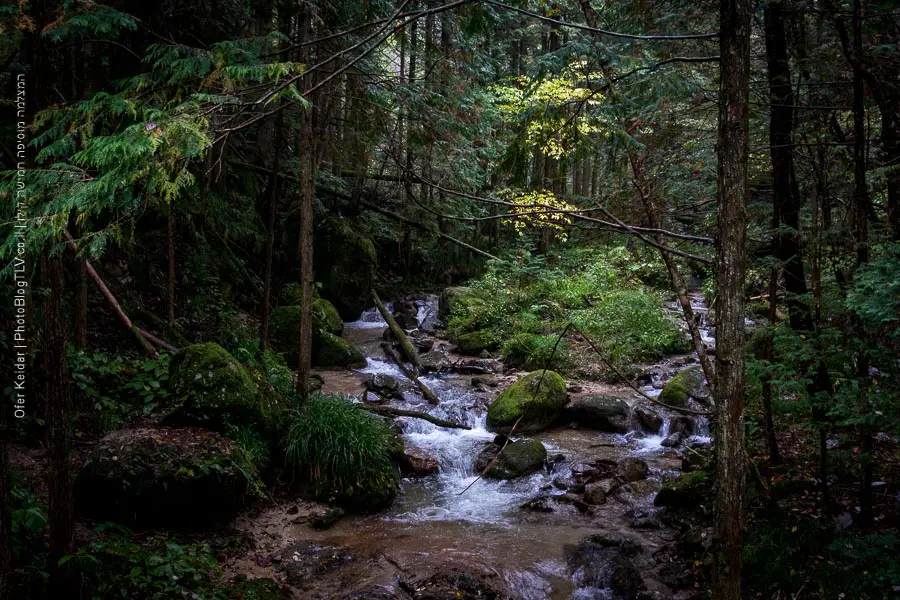 קיסו, עמק הקיסו | טיול ליפן | Kiso Valley, Japan| המצלמה מוסיפה חמישה קילו | בלוג הצילום של עפר קידר קיסו, עמק הקיסו | טיול ליפן | Kiso Valley, Japan| המצלמה מוסיפה חמישה קילו | בלוג הצילום של עפר קידר