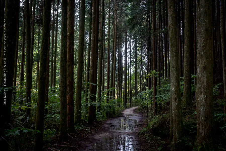 קיסו, עמק הקיסו | טיול ליפן | Kiso Valley, Japan| המצלמה מוסיפה חמישה קילו | בלוג הצילום של עפר קידר קיסו, עמק הקיסו | טיול ליפן | Kiso Valley, Japan| המצלמה מוסיפה חמישה קילו | בלוג הצילום של עפר קידר
