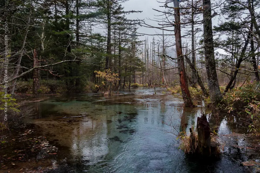 קמיקוצ'י | חופשה ביפן | Kamikochi Japan | המצלמה מוסיפה חמישה קילו | בלוג הצילום של עפר קידר קמיקוצ'י | חופשה ביפן | Kamikochi Japan | המצלמה מוסיפה חמישה קילו | בלוג הצילום של עפר קידר