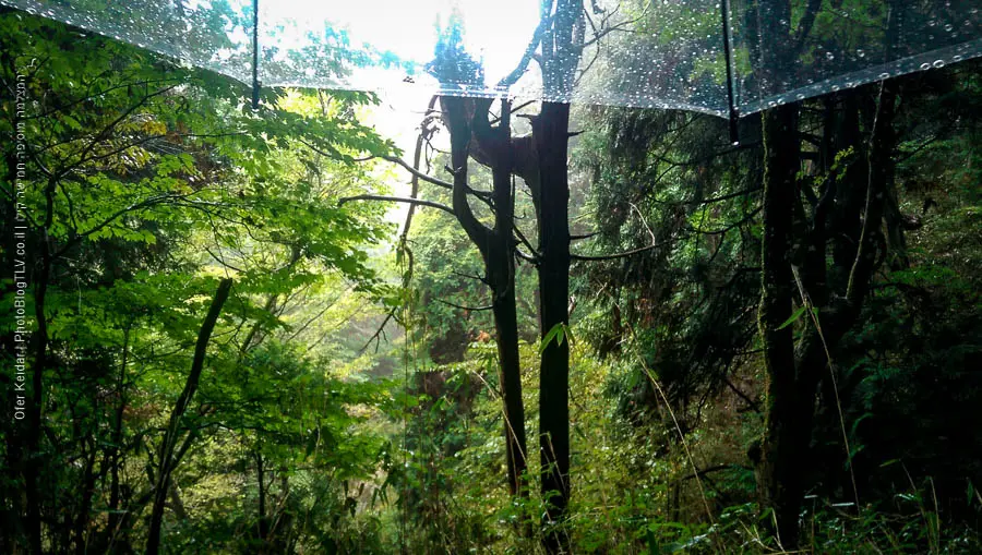 קיסו, עמק הקיסו | טיול ליפן | Kiso Valley, Japan| המצלמה מוסיפה חמישה קילו | בלוג הצילום של עפר קידר קיסו, עמק הקיסו | טיול ליפן | Kiso Valley, Japan| המצלמה מוסיפה חמישה קילו | בלוג הצילום של עפר קידר