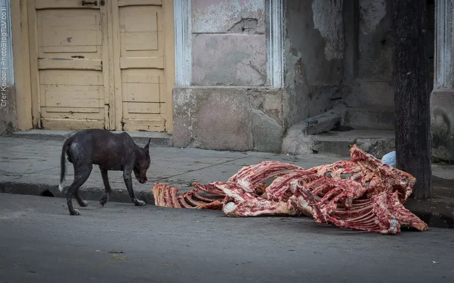 קובה | המצלמה מוסיפה חמישה קילו |בלוג הצילום של עופר קידר
