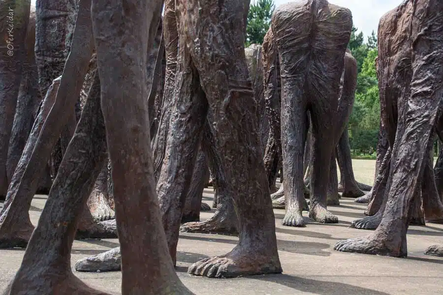 אטרקציות בפוזנן, פולין | המצלמה מוסיפה חמישה קילו | עפר קידר אטרקציות בפוזנן, פולין | המצלמה מוסיפה חמישה קילו | עפר קידר