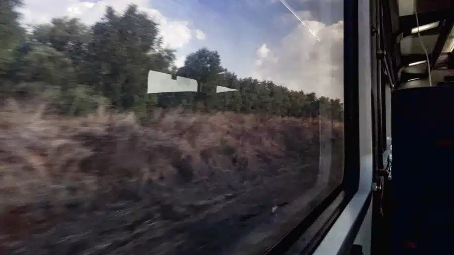 זכרון יעקב | טיול לזכרון יעקב עם צהלה ברוש | המצלמה מוסיפה חמישה קילו | עפר קידר זכרון יעקב | טיול לזכרון יעקב עם צהלה ברוש | המצלמה מוסיפה חמישה קילו | עפר קידר