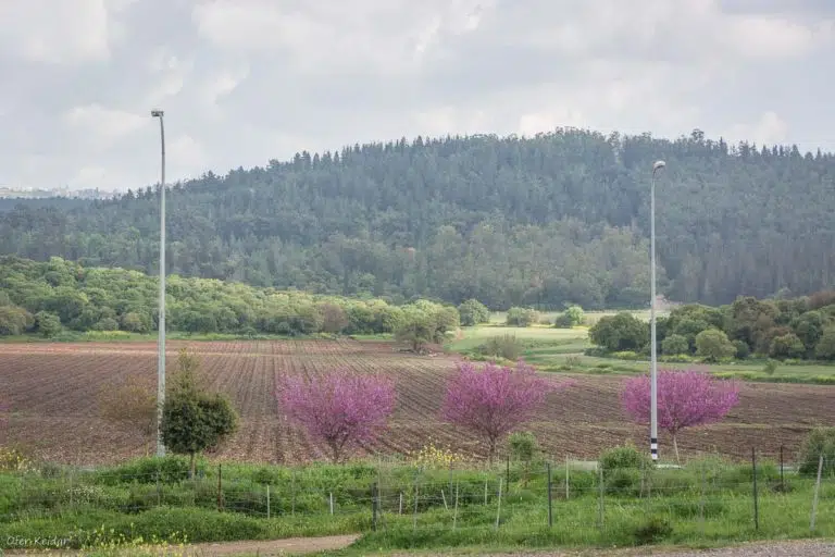 טיול לעמק יזרעאל | המצלמה מוסיפה חמישה קילו - בלוג הצילום של עפר קידר