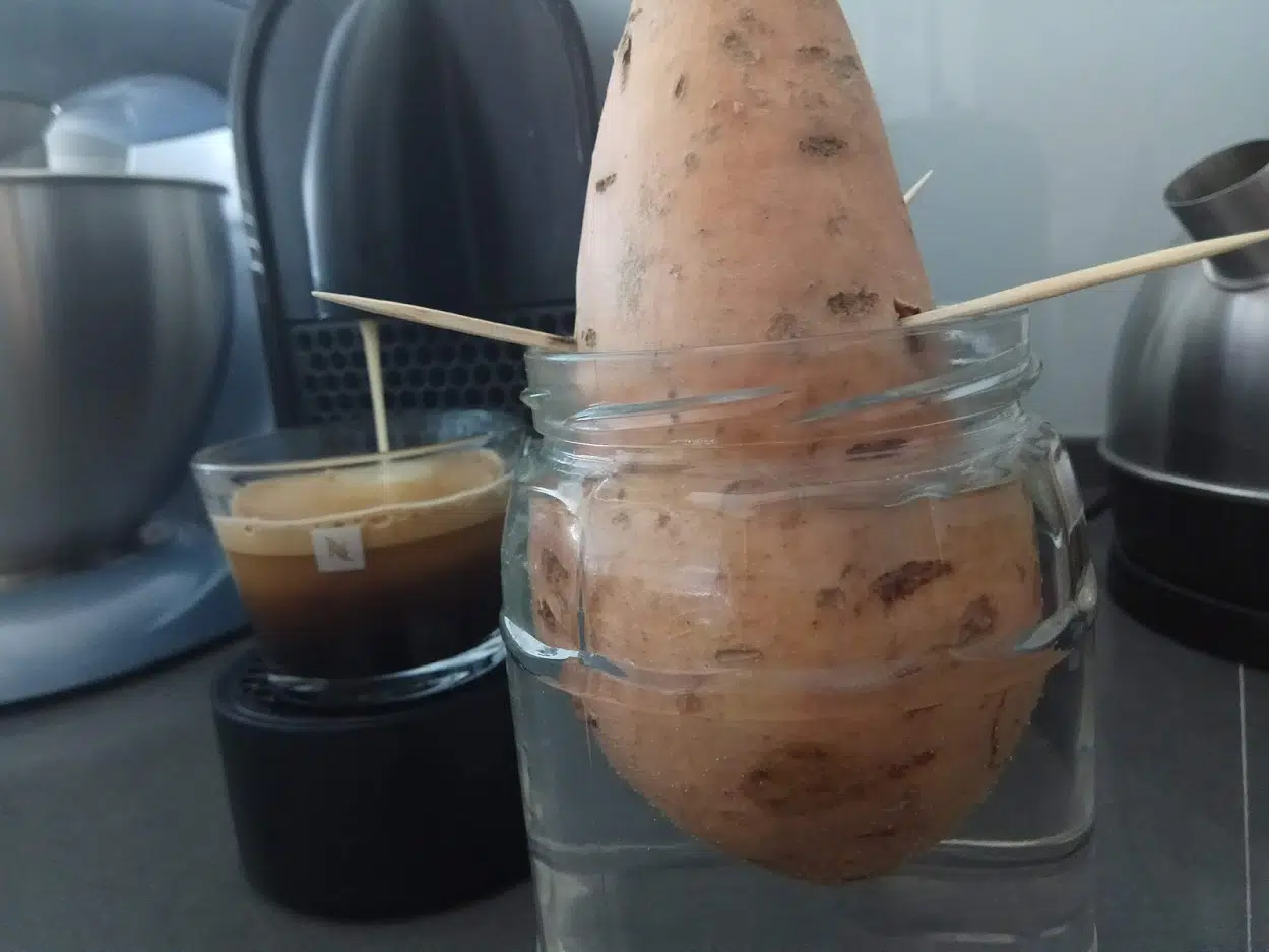 טיול לעמק יזרעאל | המצלמה מוסיפה חמישה קילו - בלוג הצילום של עפר קידר טיול לעמק יזרעאל | המצלמה מוסיפה חמישה קילו - בלוג הצילום של עפר קידר