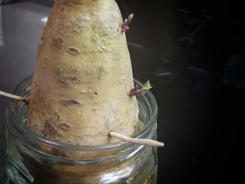 טיול לעמק יזרעאל | המצלמה מוסיפה חמישה קילו - בלוג הצילום של עפר קידר