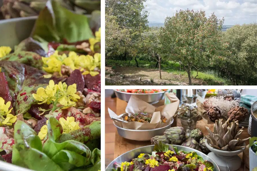 טיול לעמק יזרעאל | המצלמה מוסיפה חמישה קילו - בלוג הצילום של עפר קידר טיול לעמק יזרעאל | המצלמה מוסיפה חמישה קילו - בלוג הצילום של עפר קידר