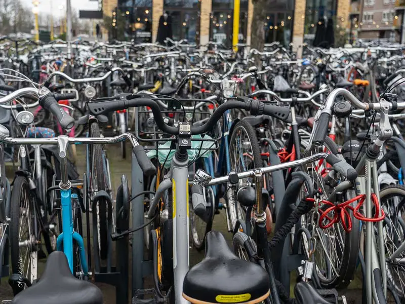 מרבדים של אופניים באיינדהובן, הולנד